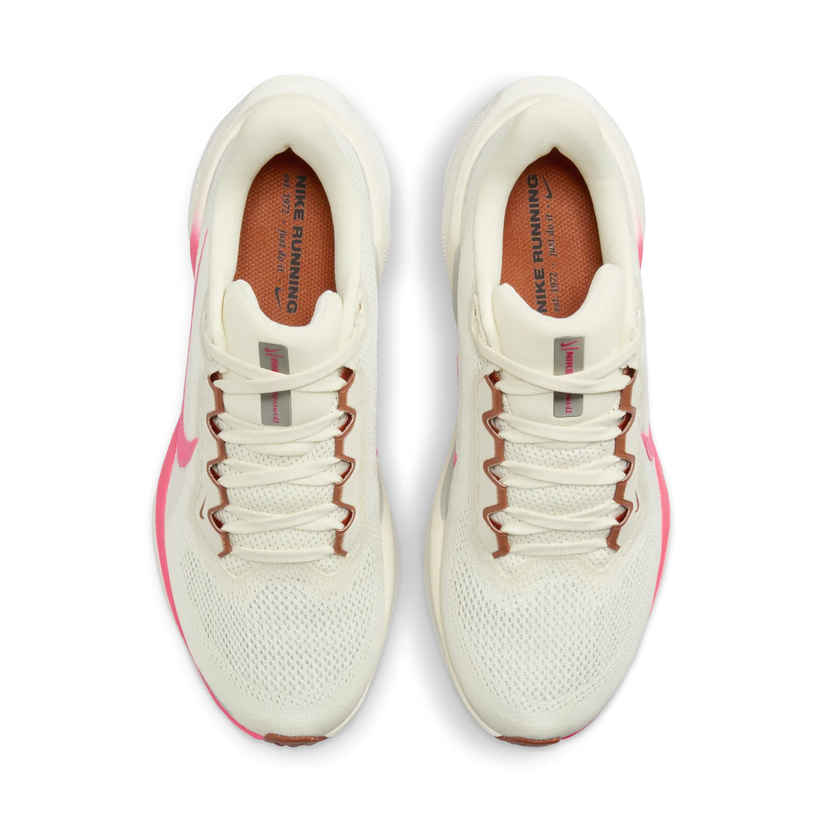 Nike Pegasus 41